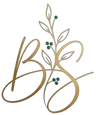 Logo Brin de Stef